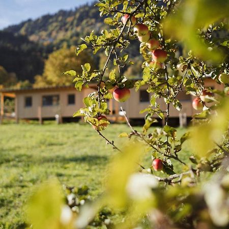 Pinjola Villa Vandans Buitenkant foto