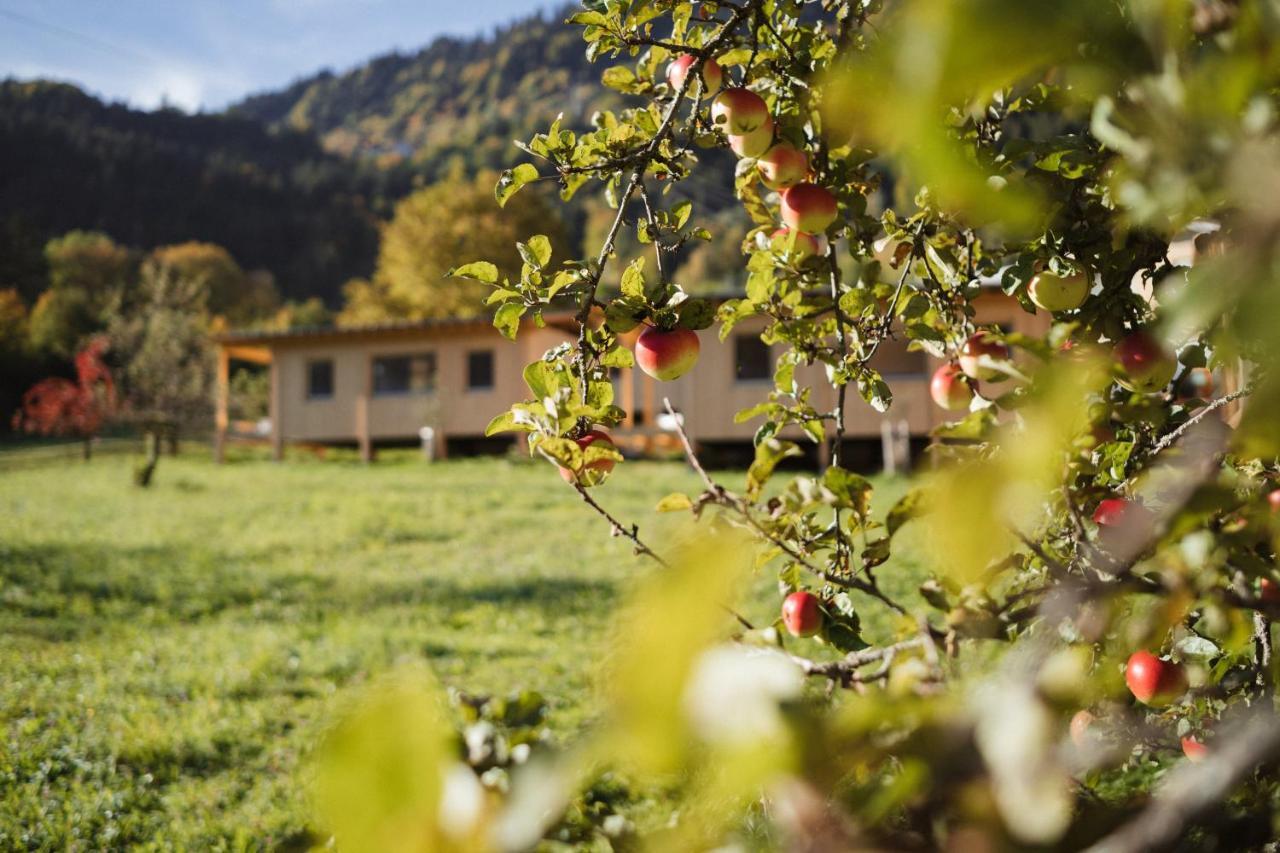 Pinjola Villa Vandans Buitenkant foto